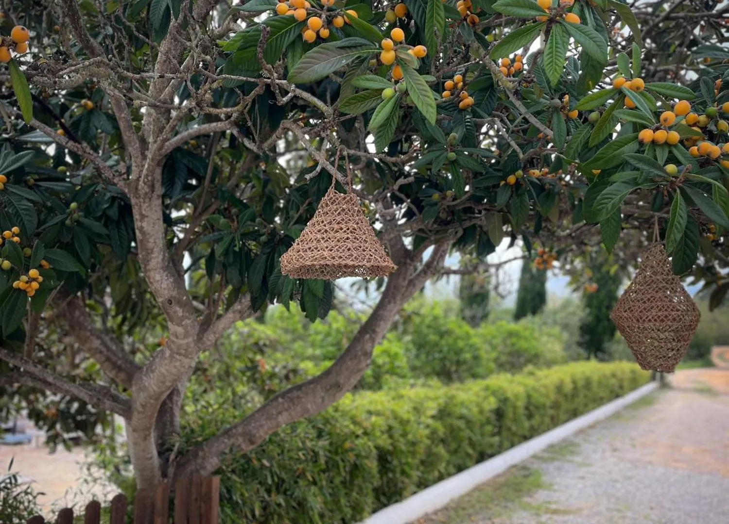 Willa Finca Can Rosa Ibiza, Private Pool, 10 Minutes From The Beach Santa Gertrudis