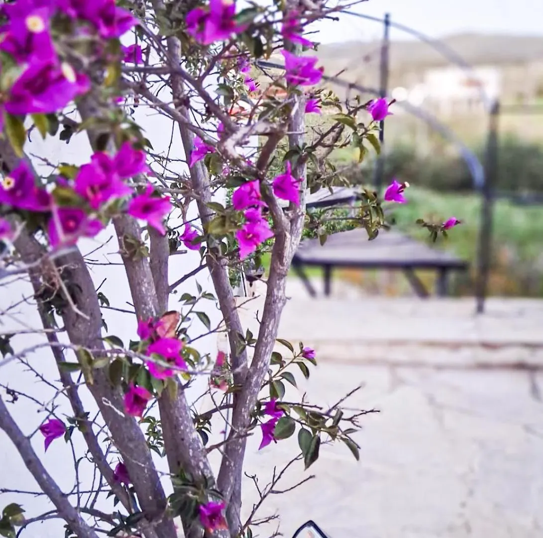 Willa Finca Can Rosa Ibiza, Private Pool, 10 Minutes From The Beach Santa Gertrudis  Hiszpania